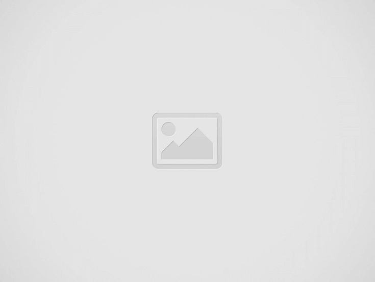 bahis.com